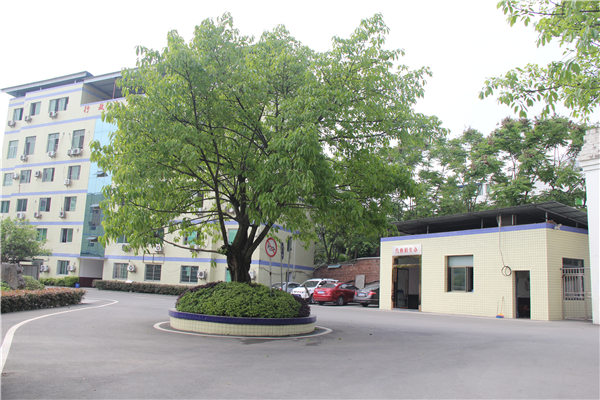 成都市石室锦城外国语学校