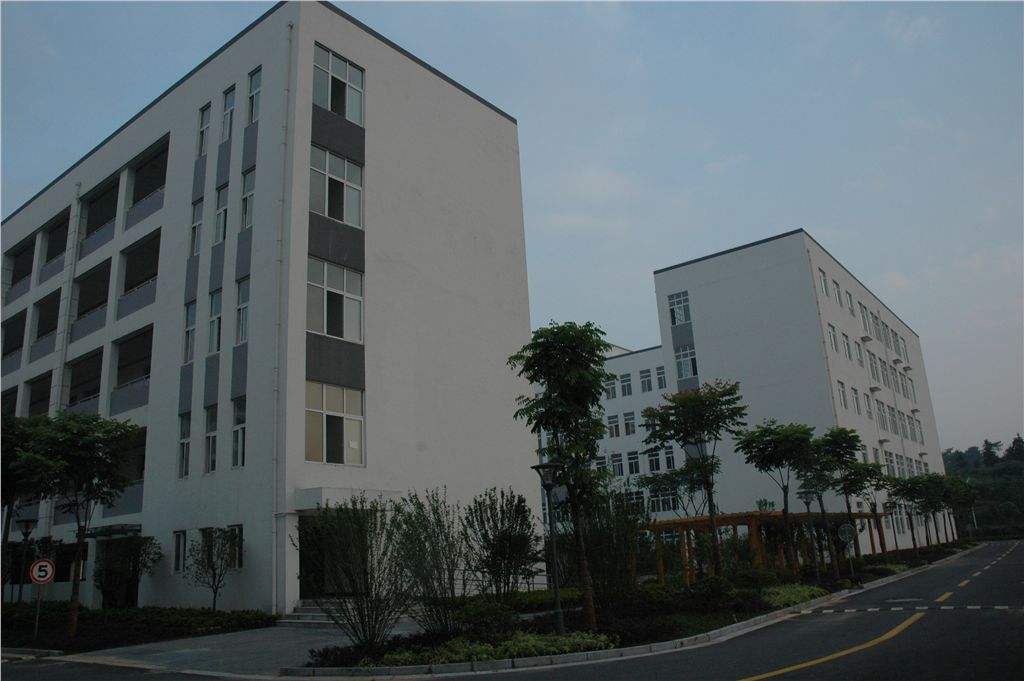 綦江县三角镇乐兴初级中学