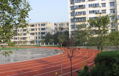 龙泉驿区大面中学校