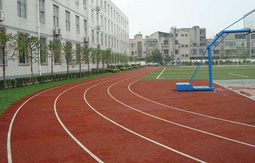 龙泉驿区洛带镇双槐中学校