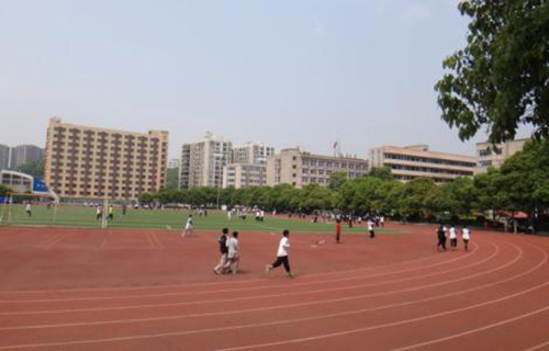 清镇市卫城镇青龙农业中学