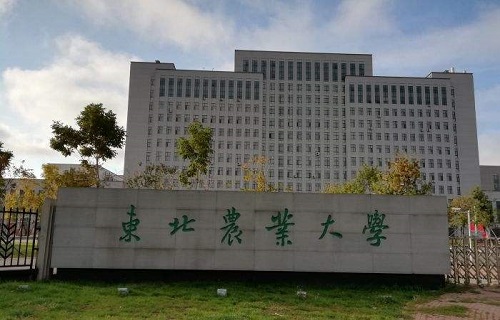 东北农业大学继续教育学院