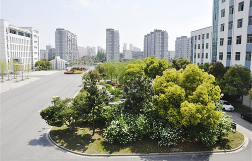 合阳路井中学