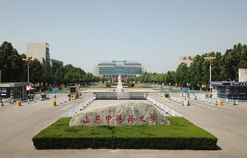 山东中医药大学继续教育学院