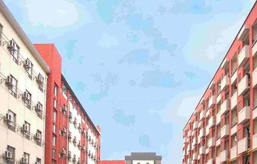 上海震旦职业学院继续教育学院