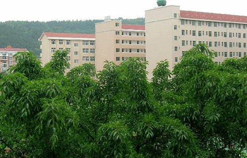 绵阳立新初中校