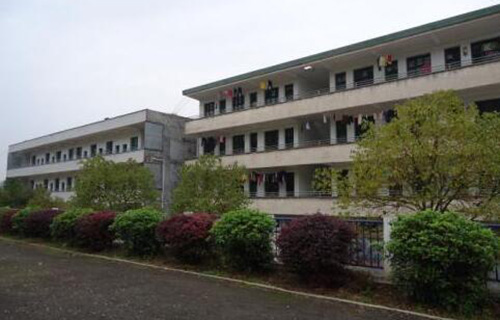 安岳县石羊中学