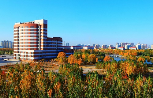 东北石油大学自考