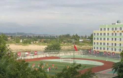 四川省绵阳市丰谷中学