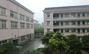 上海市宝山区罗南中学
