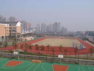 绵阳市游仙区新桥镇初级中学