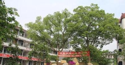 垫江第三中学校