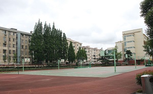 上海市莘庄中学