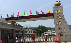 桃源县杨溪桥乡中学