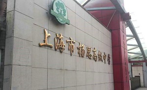 上海市杨思中学