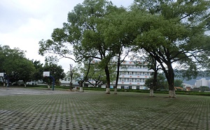 惠阳市镇隆中学