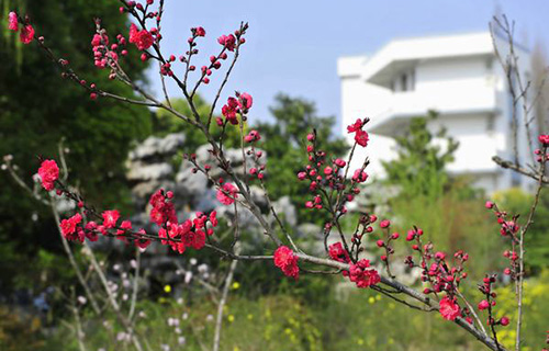 凤庆县洛党乡大兴中学