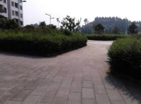 遂宁市市中区西眉中学