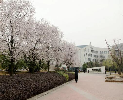 贵阳新世纪外国语学校
