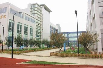 成都双流棠中外语实验学校