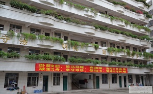 廉江市第二中学
