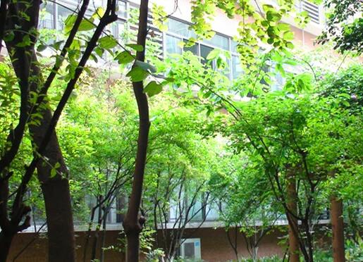 重庆市梁平县梁山初级中学