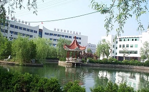 肥西中学