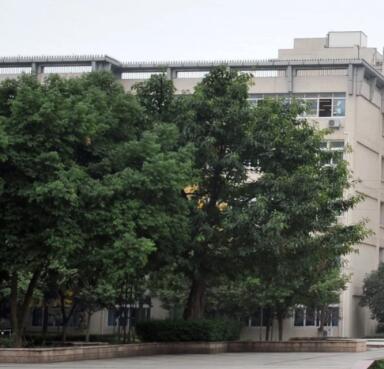 成都棠湖外国语学校