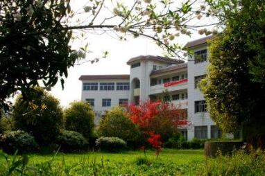 临安市大峡谷镇上溪中心学校