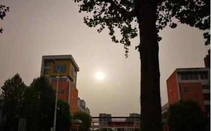 涡阳二中