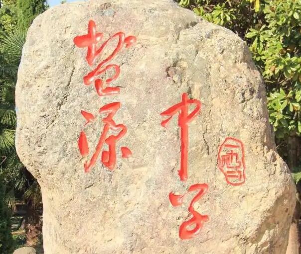 盐源县中学校