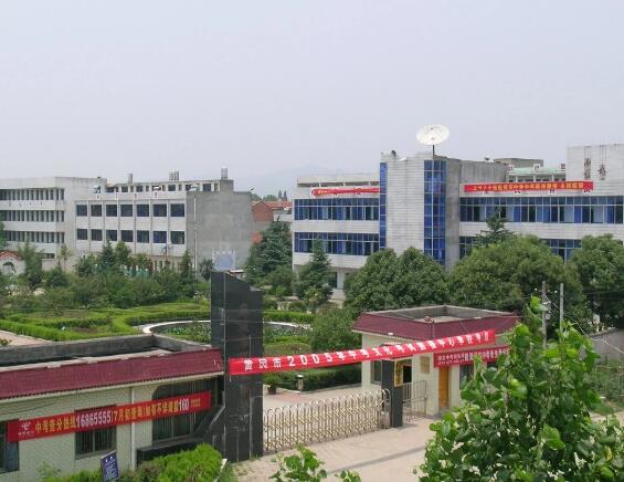 麻城市城东中学