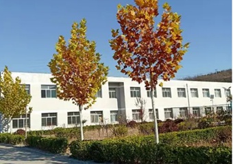 石门口中学