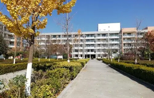 东港市脉起中学